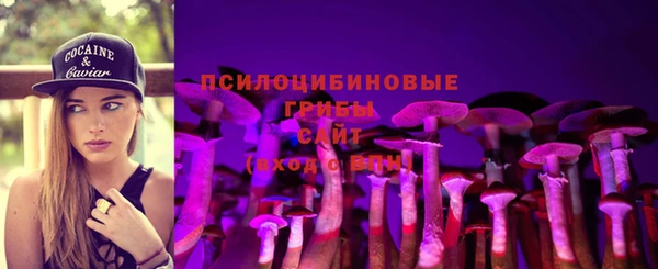бошки Бугульма