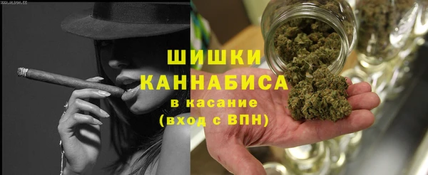 трава Бородино