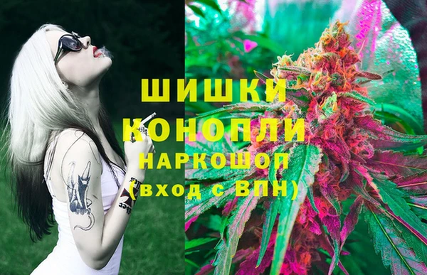 хмурый Верхний Тагил