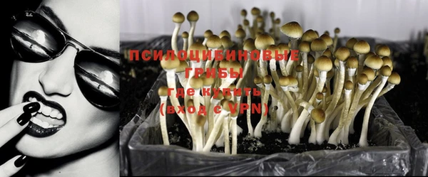 трава Бородино