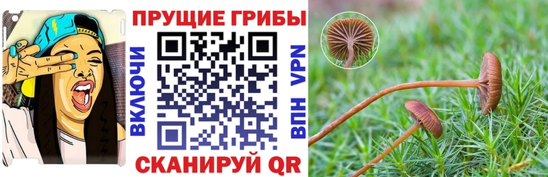 Псилоцибиновые грибы Cubensis  mega рабочий сайт  Северодвинск 
