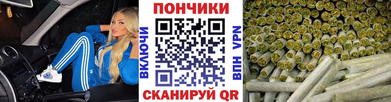 дарнет шоп  Северодвинск  МЕГА маркетплейс  МАРИХУАНА ГИДРОПОН 